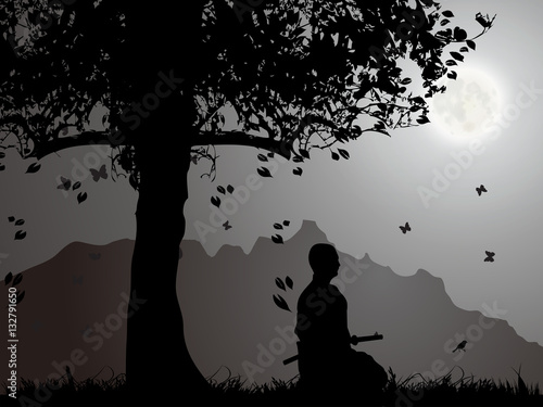 A Samurai Under The Moonlight, meditation