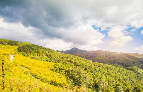 The BUA Tong Mae Hong Son on suntset light in Thailand photo