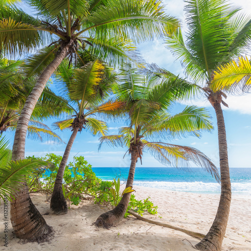 Beautiful white sand beach wiht palm trees on Seychelles. © lucky-photo