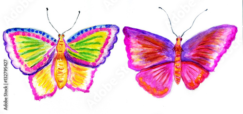 Wallpaper Mural Painted Butterflies Design Torontodigital.ca