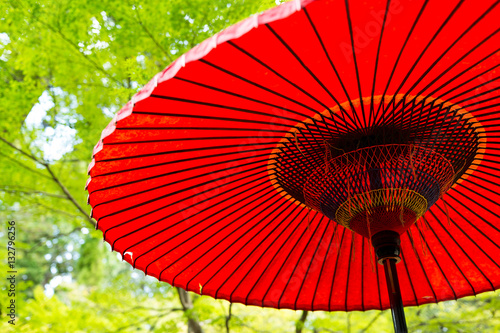 Japanese red umbrella under green tree
