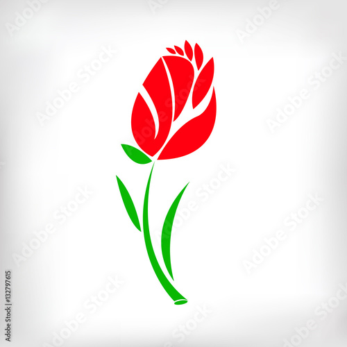 flower art illustration pattern bloom beauty green