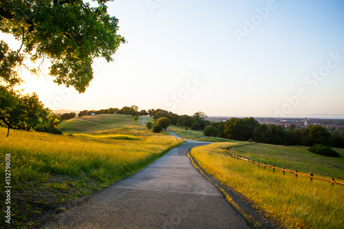 Path Through a Meadow in Stanford Dish Palo Alto California photo