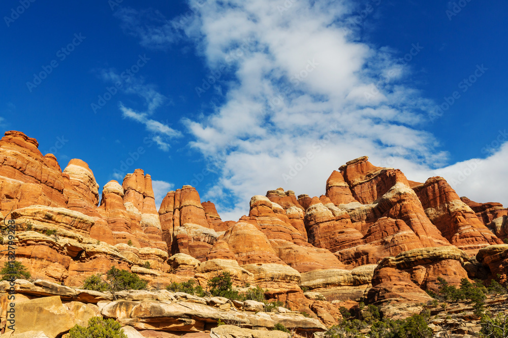 Fototapeta premium Canyonlands
