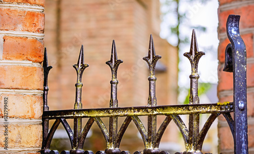 Fragment of old style fence with lichen photo