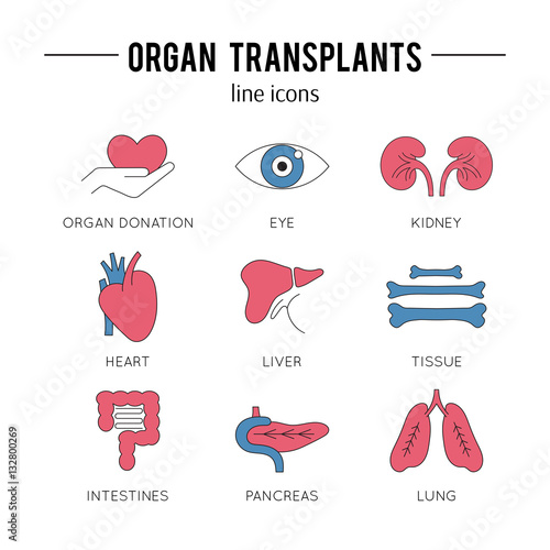 Organ Transplantation icon set