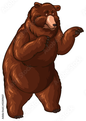 Big bear with brown fur
