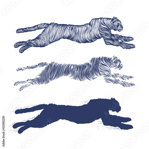 Cheetah, leopard, collection of tattoos and t-shirt design