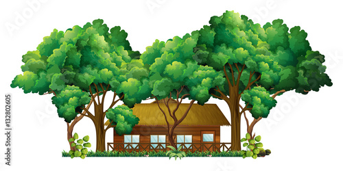 Wood cabin in the forest