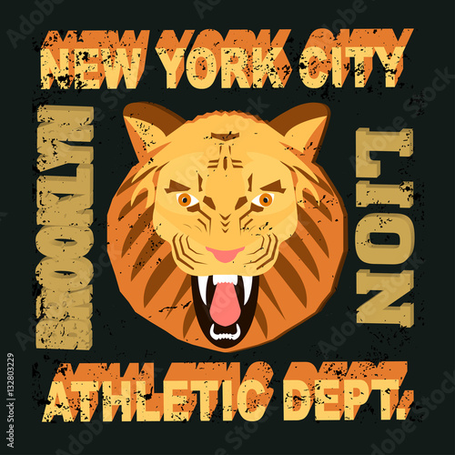 ny lion photo