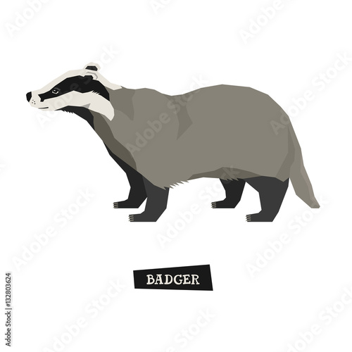Wild animals collection Badger Geometric style