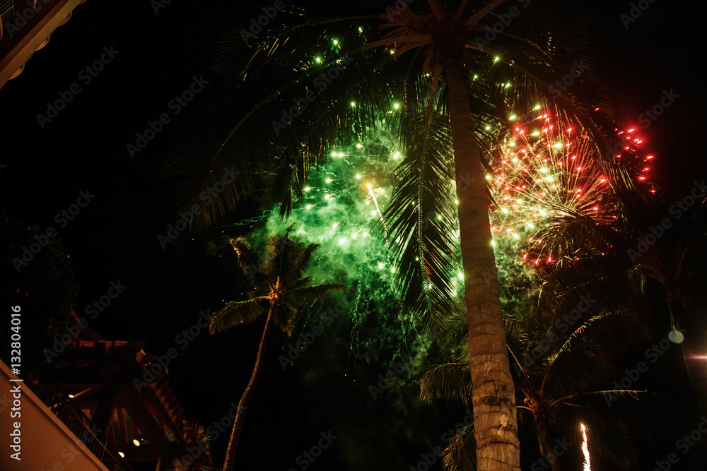 Fototapeta premium Miracle fireworks New Year's Eve