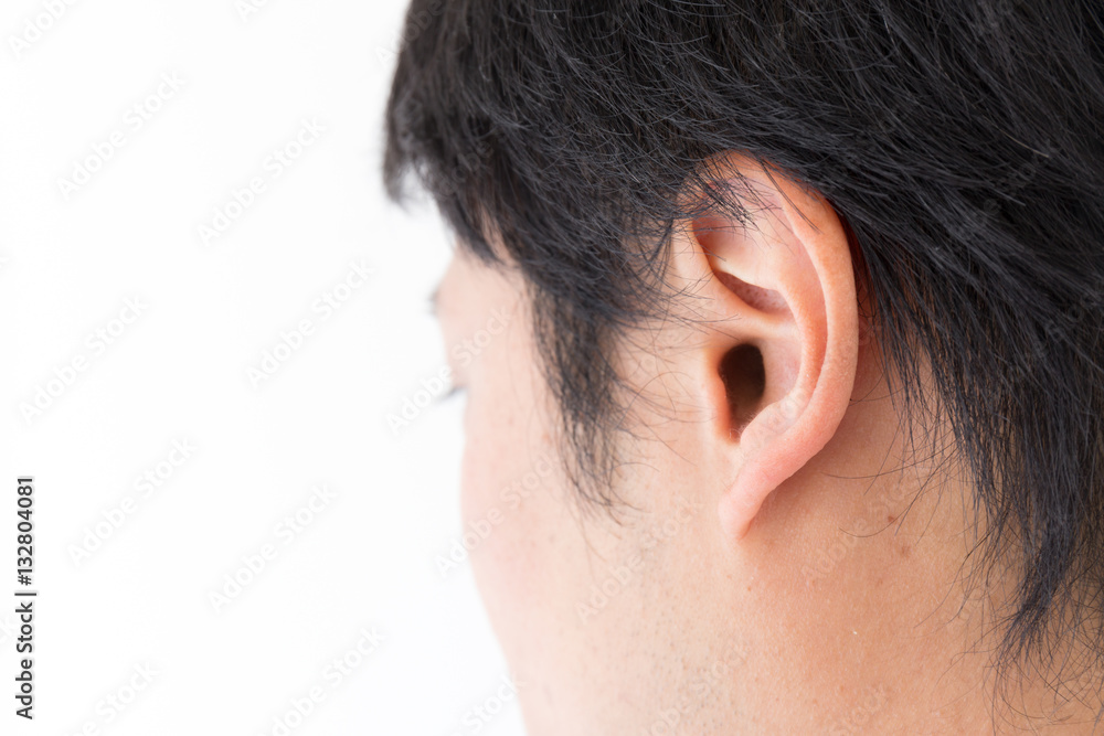 男性 耳 男性 耳