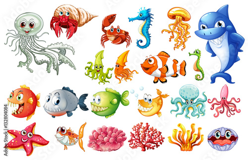 Different kinds of sea animals