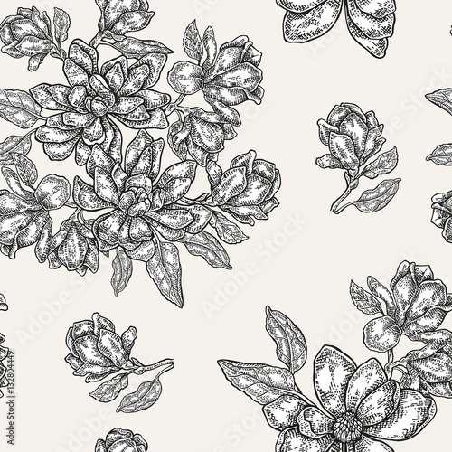 Vintage magnolia flowers, buds and leaves. Vector seamless pattern