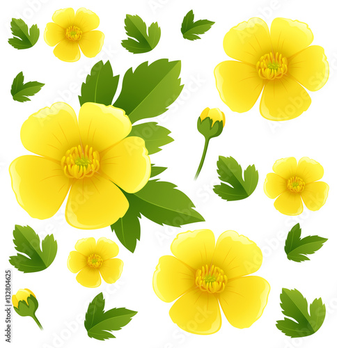 Seamless background with yellow buttercup flowers