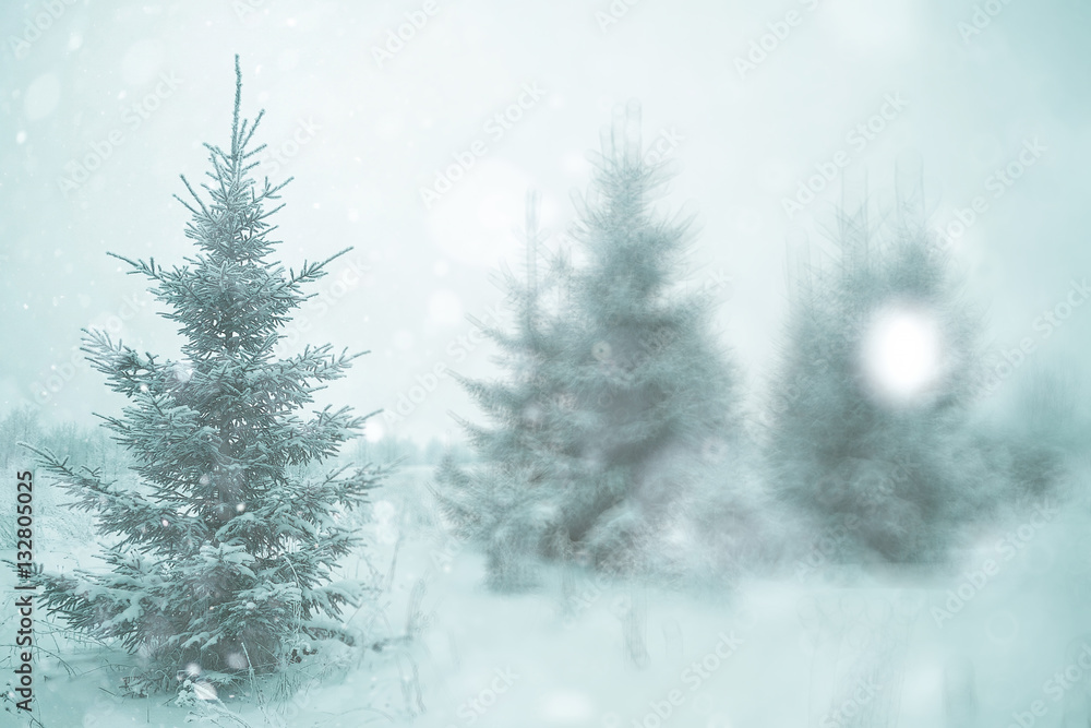 Naklejka premium blurred background small Christmas trees with snow winter