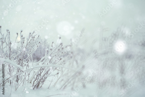 Winter forest blurred background snow landscape © kichigin19