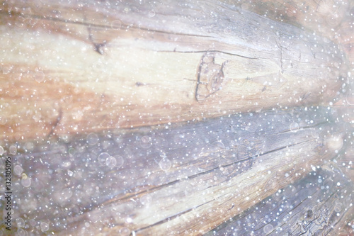 blurred wooden background with snow winter © kichigin19