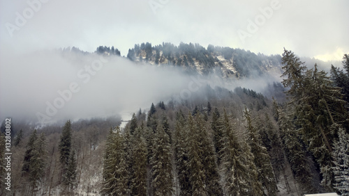 Snowy winter trees and cliffs of the french alps