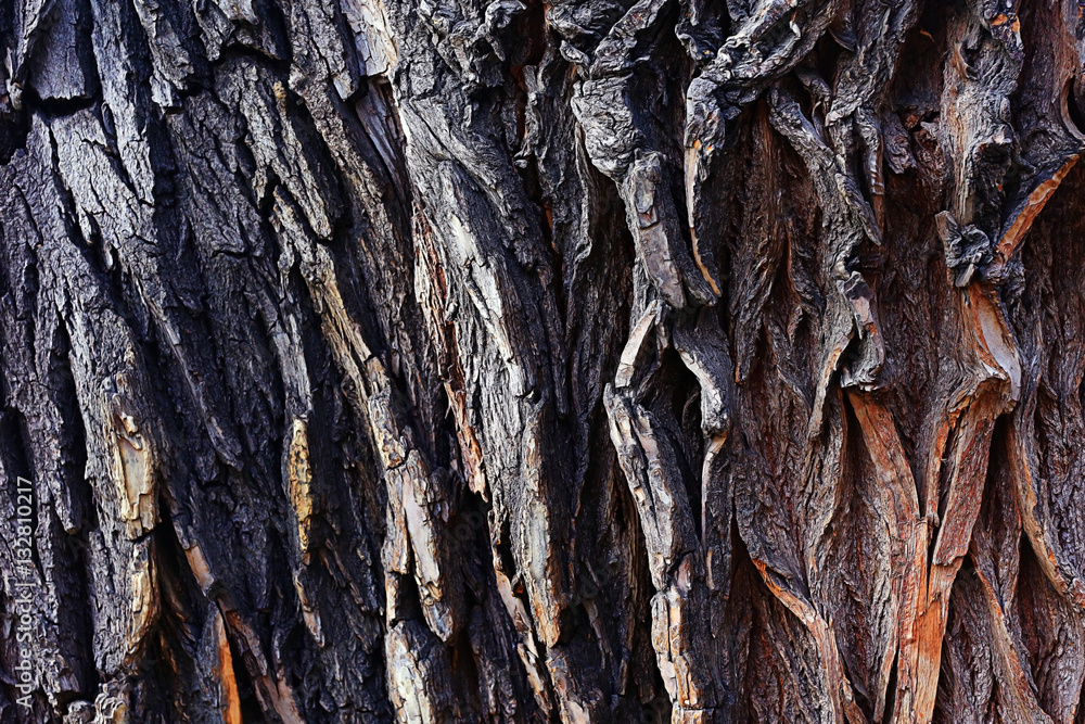 background texture of wooden planks logs bark background texture of wooden planks logs bark