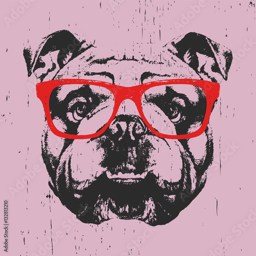 Portrait of English Bulldog with glasses. Hand drawn illustration. Vector.