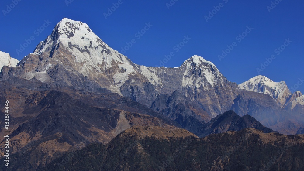 Annapurna South and Hiun Chuli, view from Mohare Danda