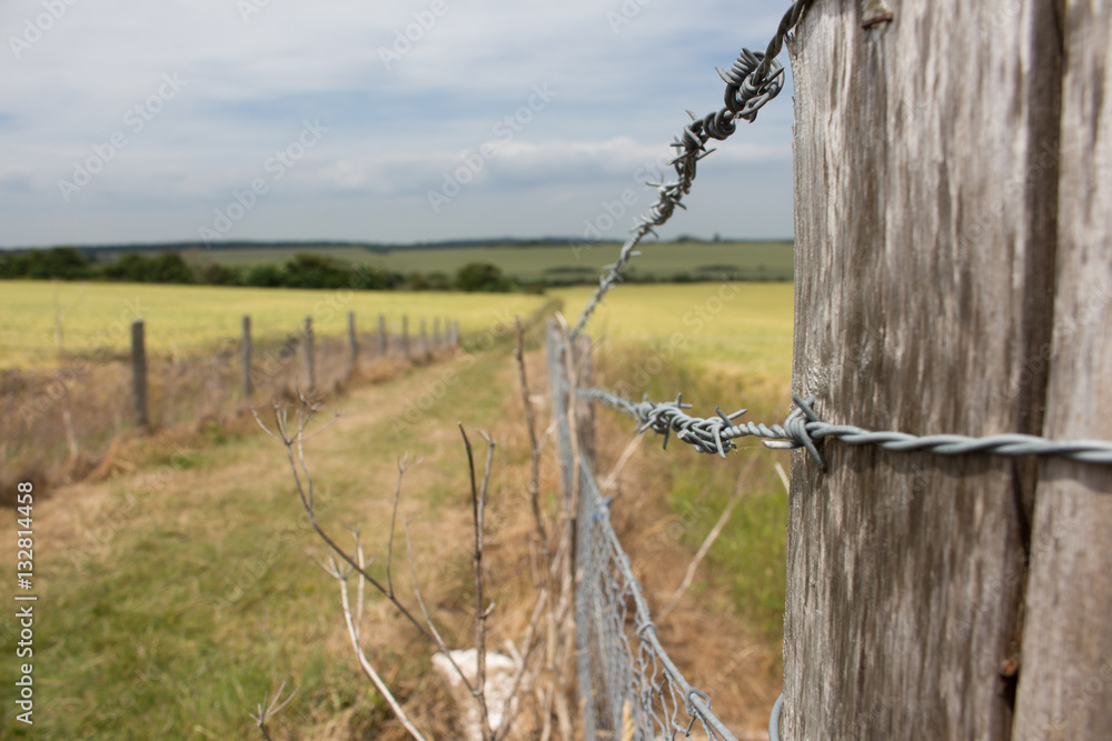 Fototapeta premium track