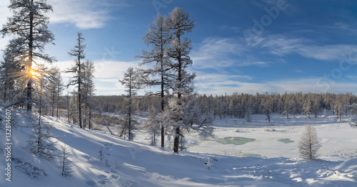 sunny winter landscape