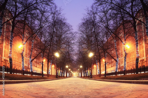 New Year's photos of the city, city street illumination © kichigin19