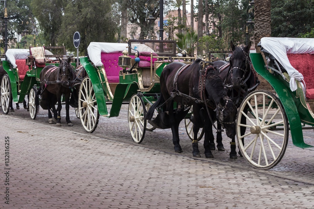 Pferdekutschen stehen in einer Reihe auf einem Platz  in Marrakesch, Marokko