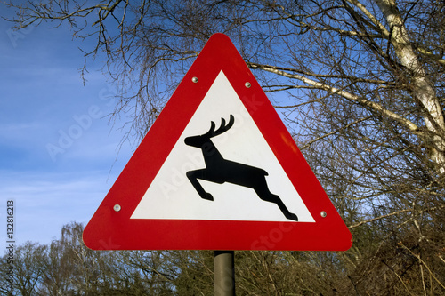 Deer sign