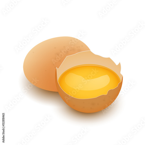 Whole egg and Broken egg shell with yolk, vector, isolated on white