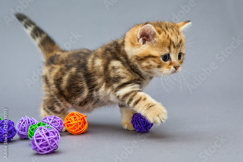 Little kitten plays with balls