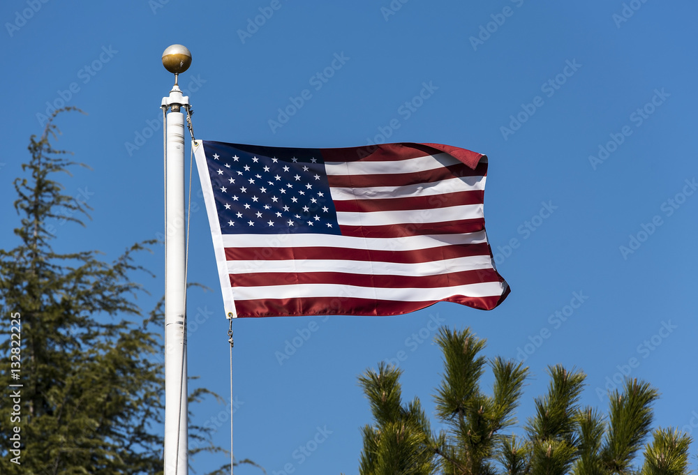 American Flag waving in New-York, USA