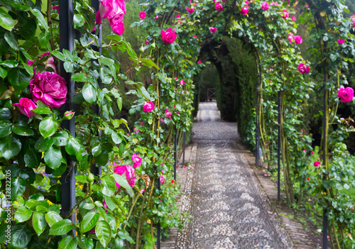 Arch with roses at garden of Generalife. Granada