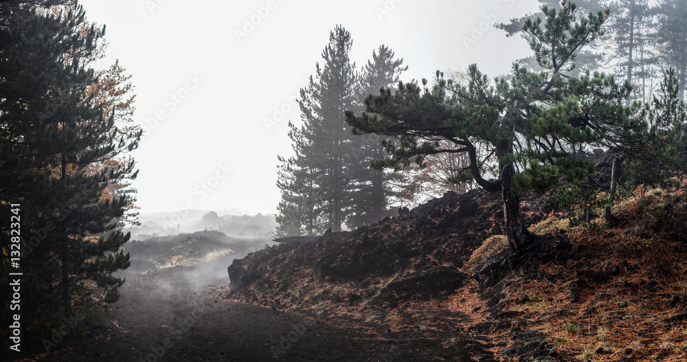 Fototapeta premium Etna