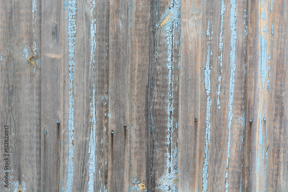 Obraz premium Texture of a dark tree.