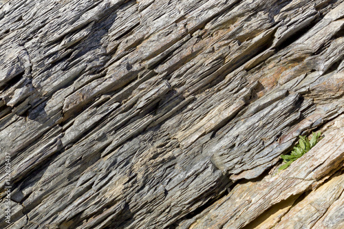 Background image of a wall of metamorphic rock.