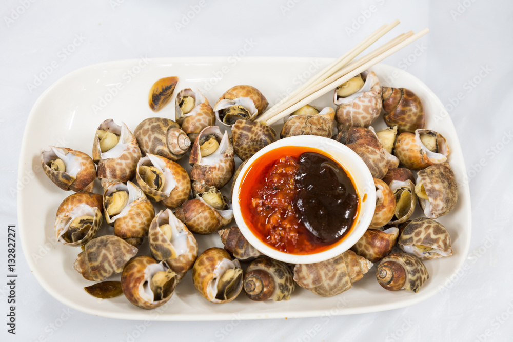 Sea snails is delicacy among Chinese in Hong Kong Sea snails is delicacy among Chinese in Hong Kong