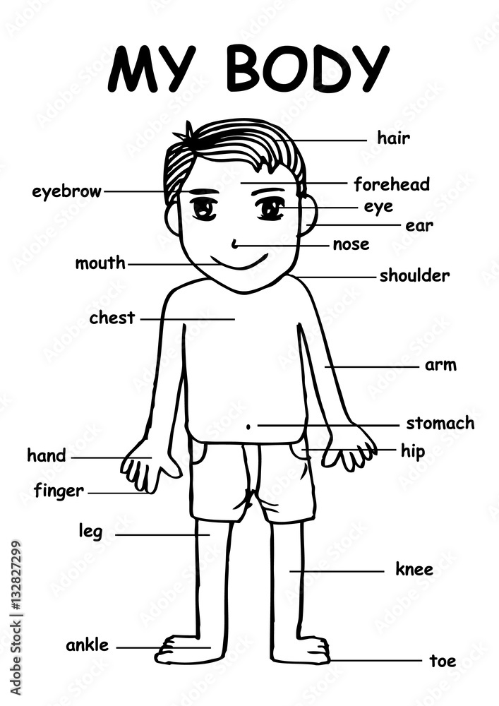 Boy and Body Parts Poster by CSA Images - Fine Art America