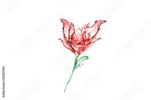 Rose made of water splash isolated on white background