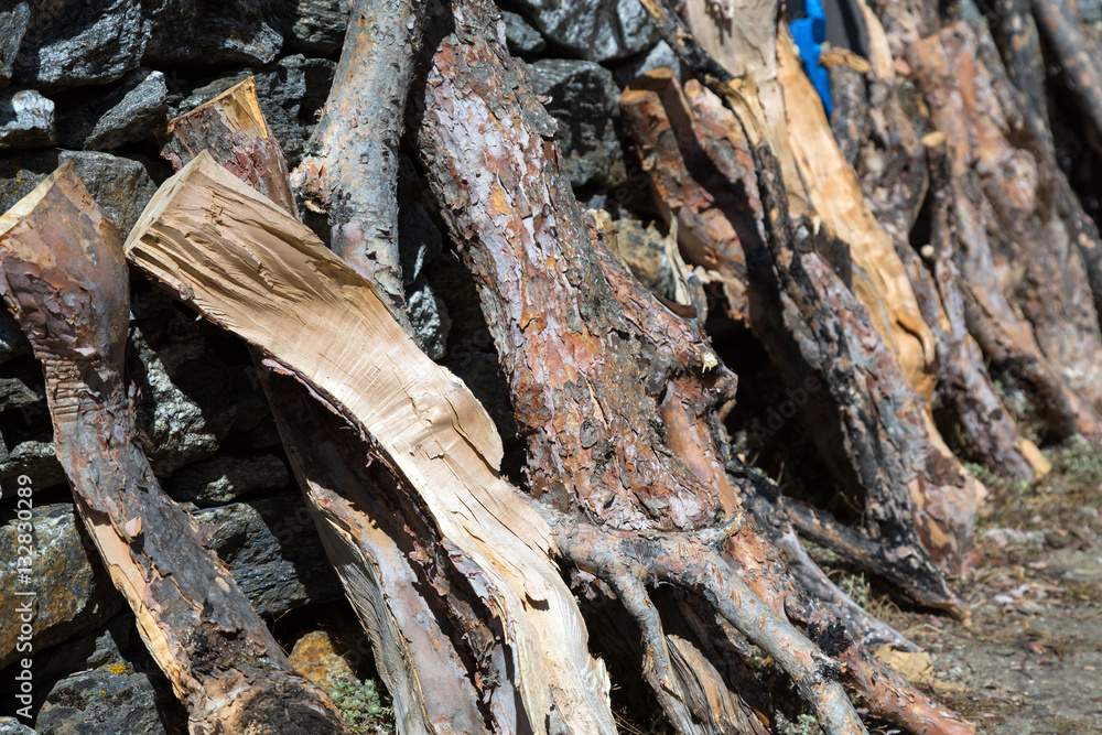 Row of Firewood at Mountain Nepal Village Row of Firewood at Mountain Nepal Village