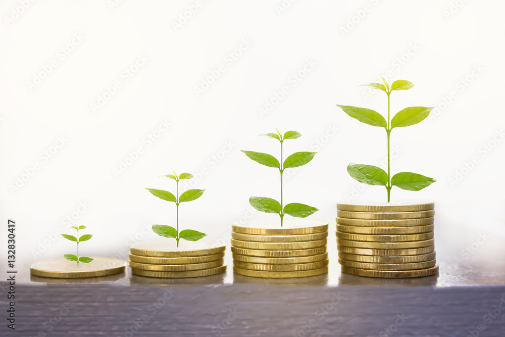 Stacks of golden coins on the white background. Stacks of golden coins on the white background.