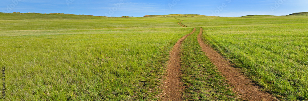 Panorama of green field with road leaving to horizon. Panorama of green field with road leaving to horizon.