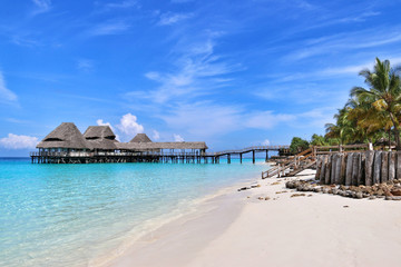 Fototapete Sansibar Paradiesischer Strand auf Sansibar Insel  © Natalya K