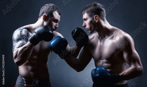 Boxers © Artem Furman