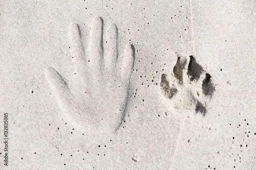 Trace of human hand and dog paw on the sand. Small depth of field