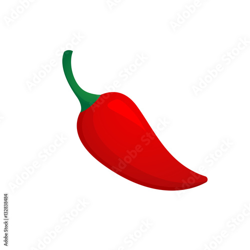 Chili pepper vector isolated