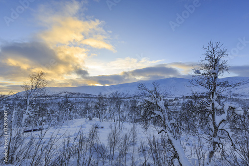 Winter landscape in Svandalen nature reserve on Senja Island, Troms county, Norway
